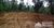 Terreno, 3 hectares - Foto 4