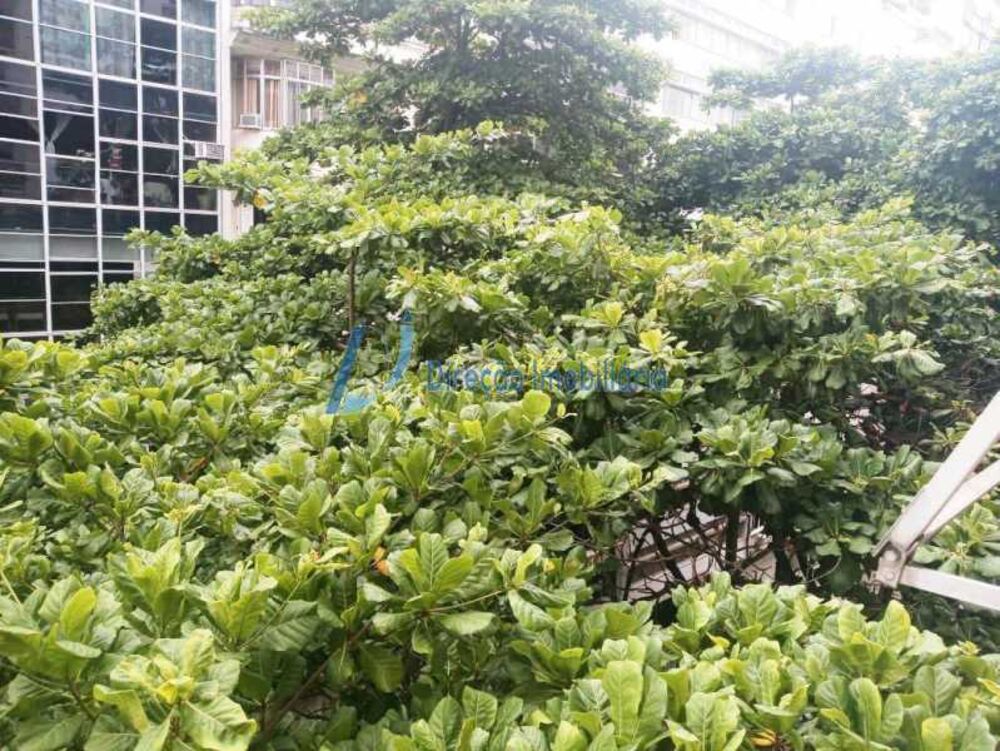 Apartamento, 3 quartos, 119 m² - Foto 3