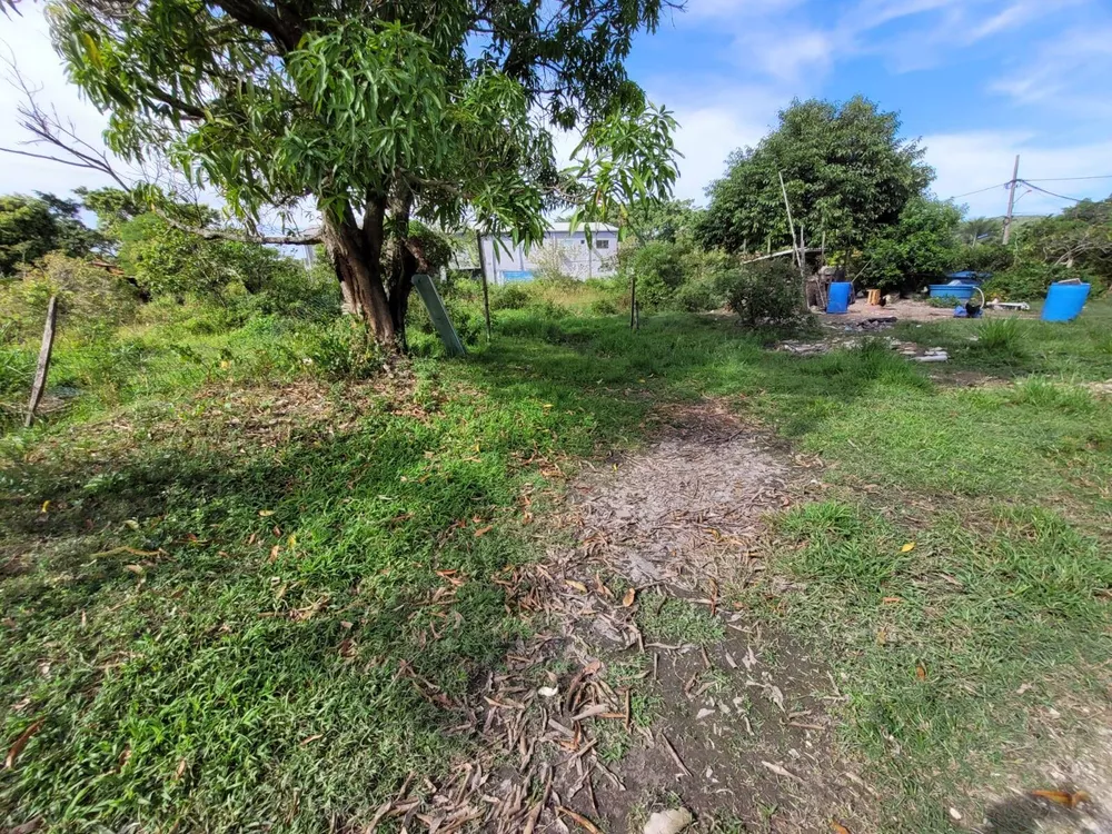 Fazenda à venda com 1 quarto, 3000m² - Foto 6