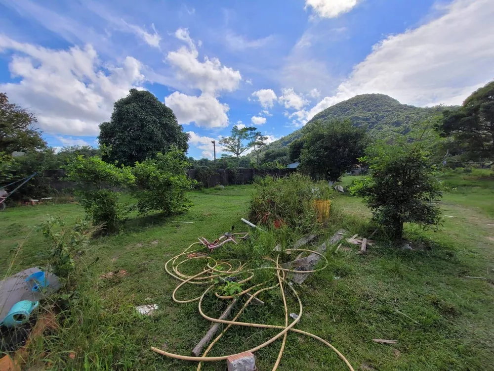 Fazenda à venda com 1 quarto, 3000m² - Foto 3