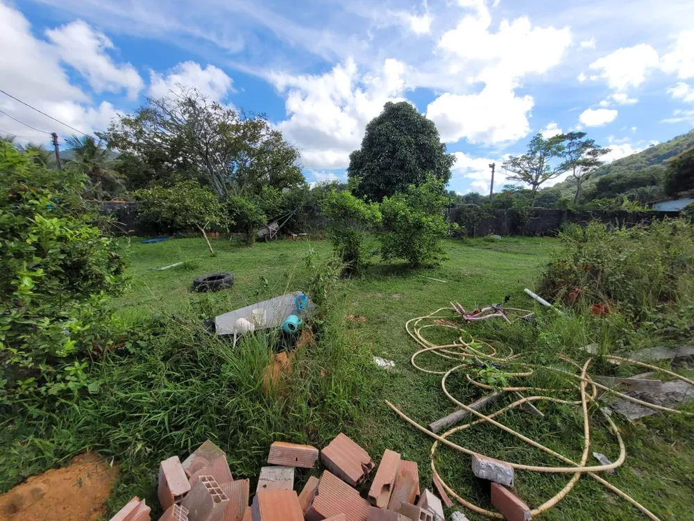 Fazenda à venda com 1 quarto, 3000m² - Foto 2