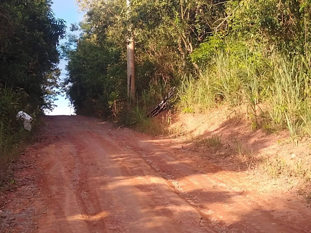 Terreno à venda, 3000m² - Foto 3