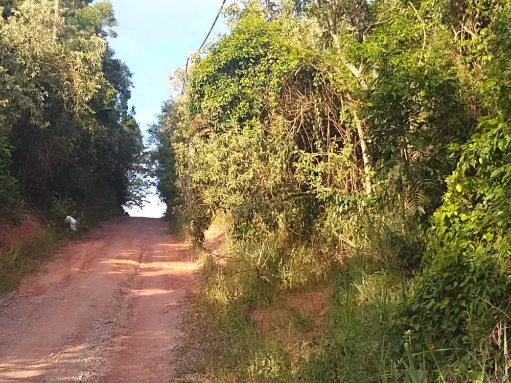 Terreno à venda, 3000m² - Foto 2