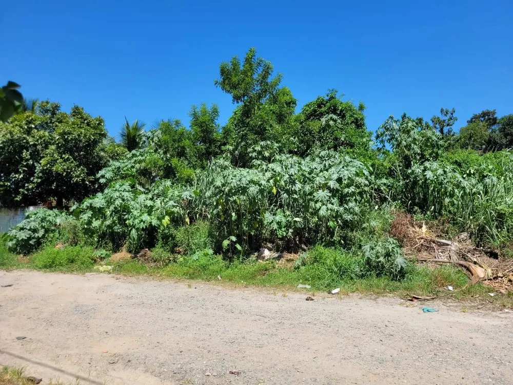 Terreno à venda - Foto 4