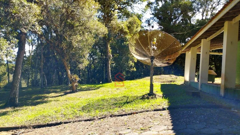 Chácara, 3 quartos, 2990 m² - Foto 4