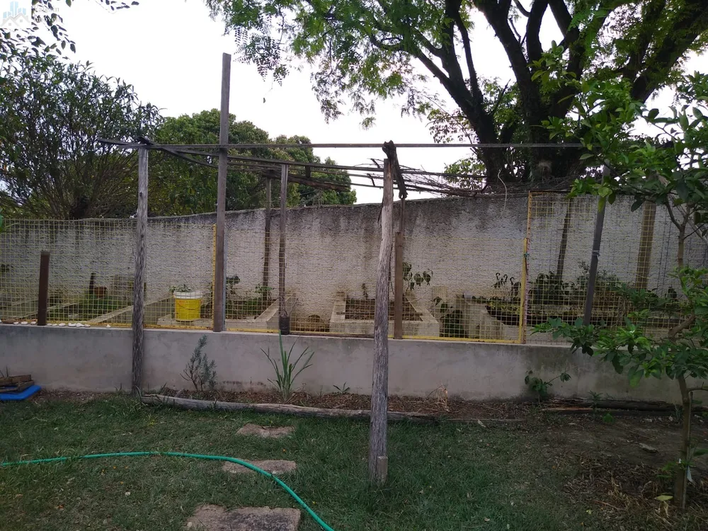 Chácara, 6 quartos, 3000 m² - Foto 8