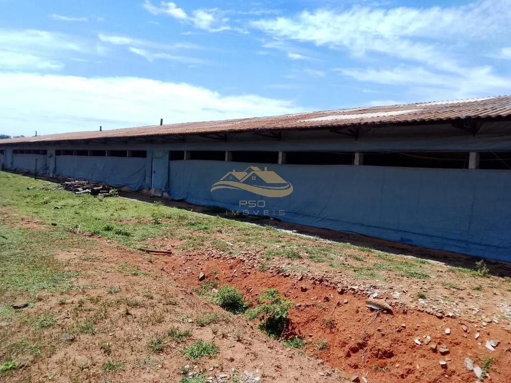 Fazenda - Foto 3