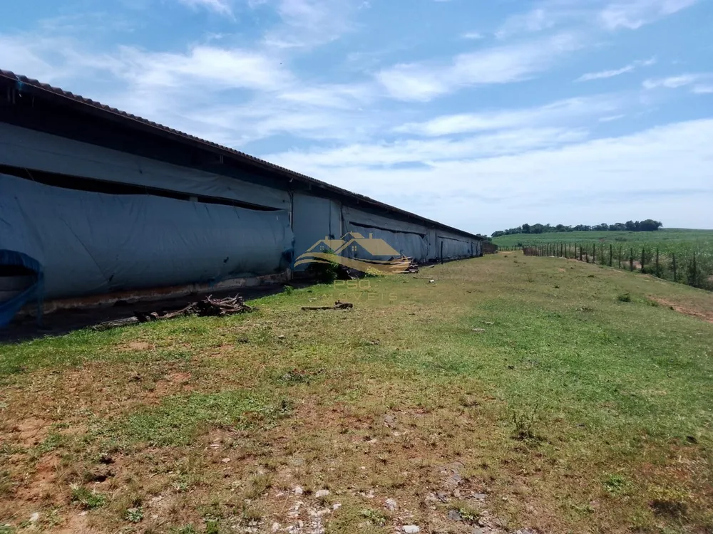 Fazenda - Foto 6