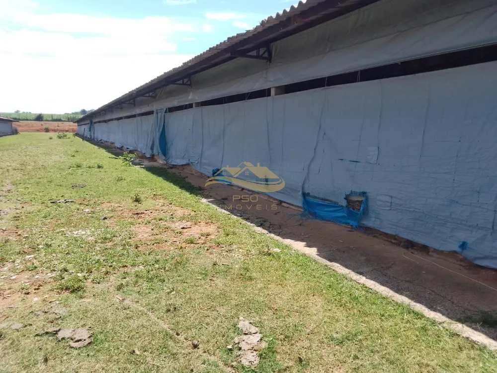 Fazenda - Foto 5