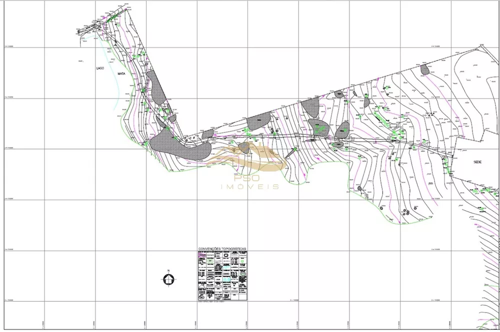 Fazenda, 81 hectares - Foto 3