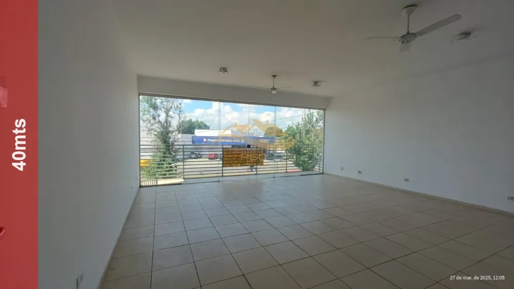 Sala-Conjunto - Foto 1