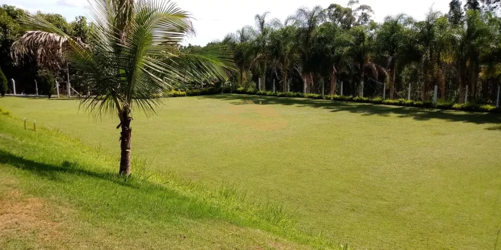 Sítio, 3 quartos, 10 hectares - Foto 6
