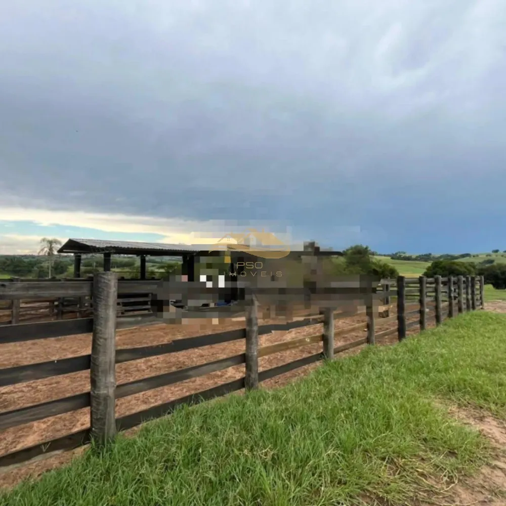 Fazenda, 3 quartos - Foto 5