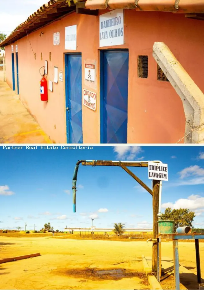 Fazenda, 10 quartos - Foto 7