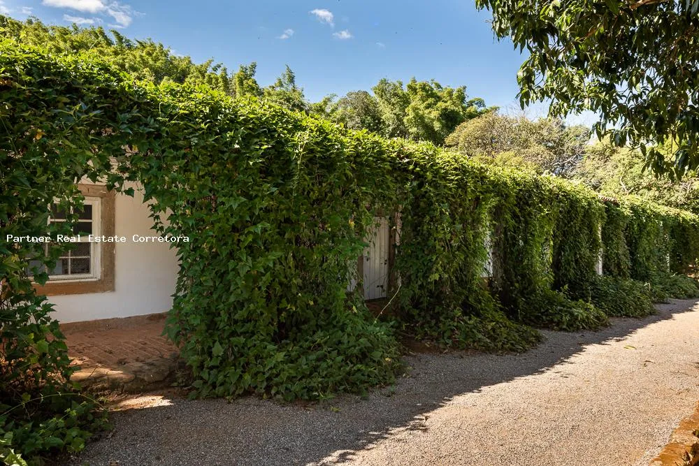 Sítio, 6 quartos, 242000 m² - Foto 15