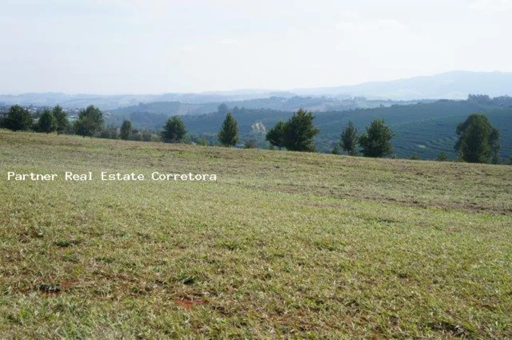 Terreno, 3354 m² - Foto 7