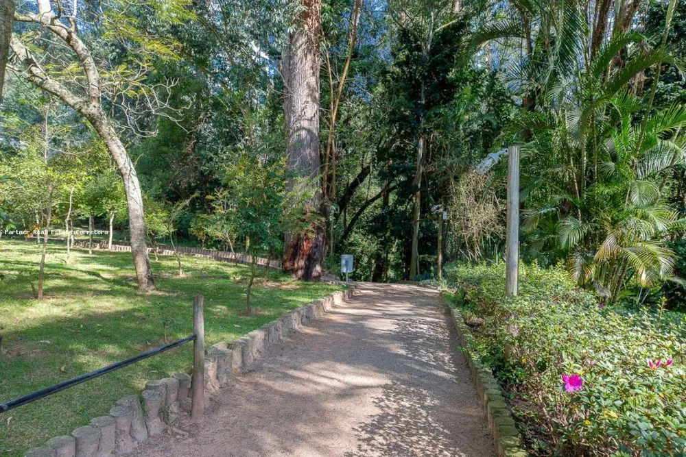 Apartamento, 4 quartos, 286 m² - Foto 6