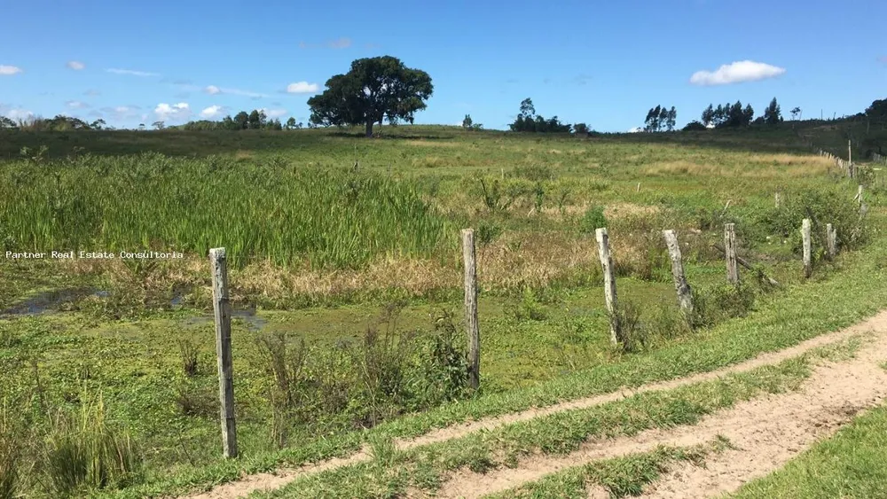 Fazenda, 3 quartos - Foto 7