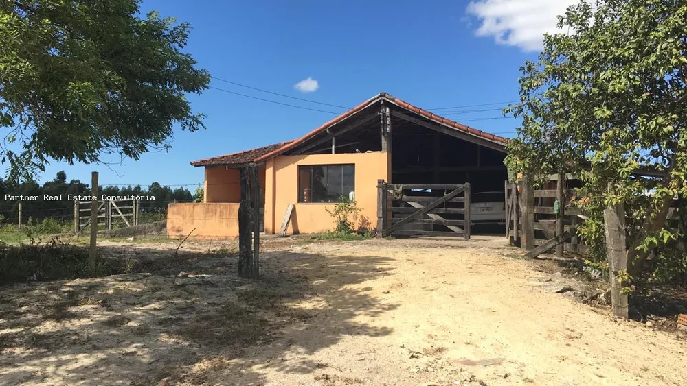 Fazenda, 3 quartos - Foto 29