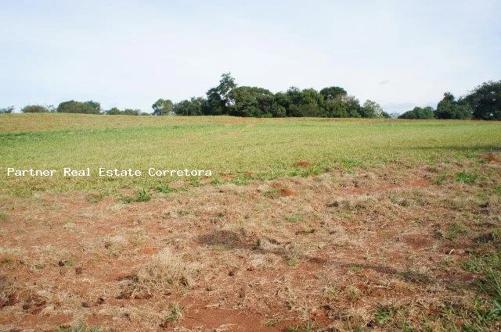 Terreno, 3162 m² - Foto 4