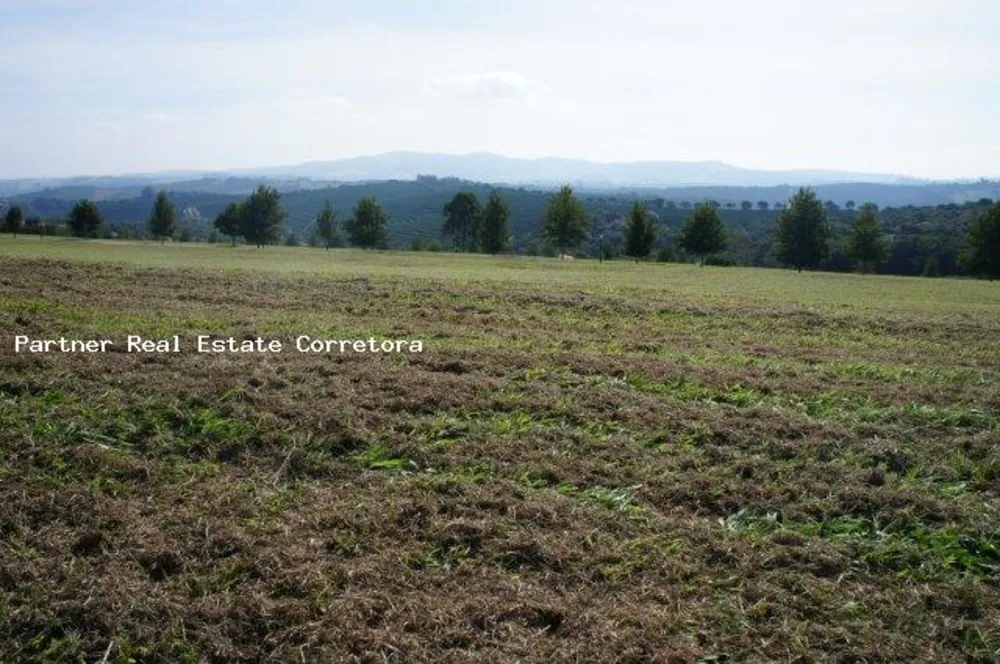 Terreno, 3162 m² - Foto 4