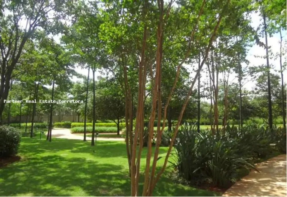 Cobertura, 5 quartos, 813 m² - Foto 12