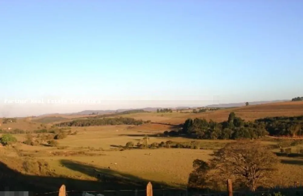 Fazenda - Foto 1