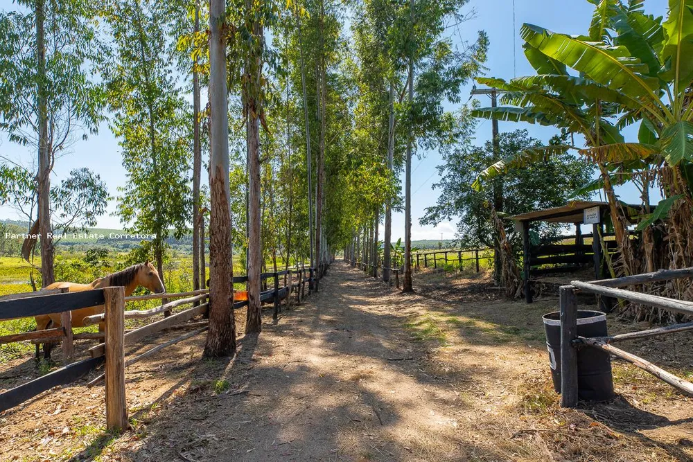 Sítio, 3 quartos, 133100 m² - Foto 4