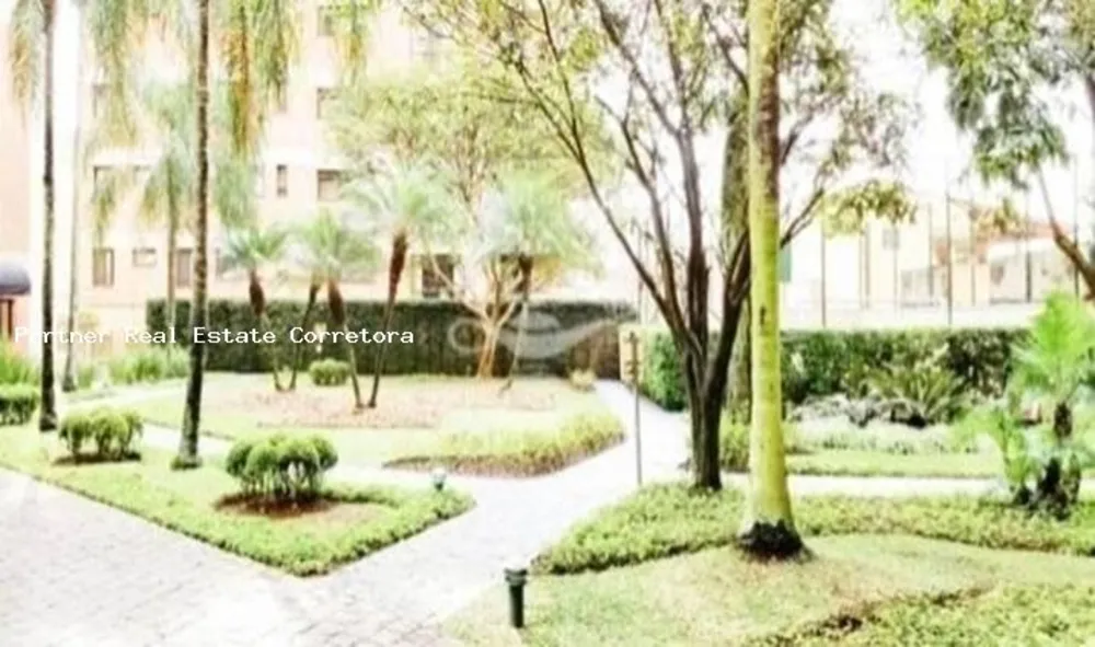 Apartamento, 4 quartos, 541 m² - Foto 12