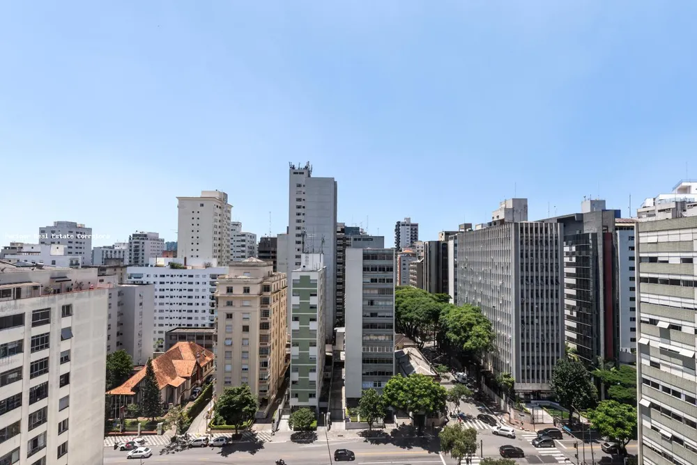 Apartamento, 3 quartos, 250 m² - Foto 5