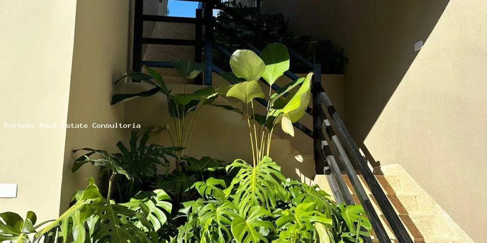 Casa, 5 quartos, 650 m² - Foto 7