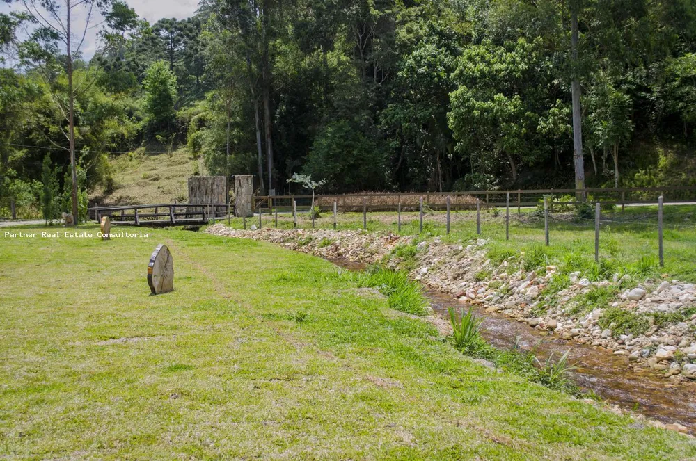 Chácara, 5 quartos - Foto 6