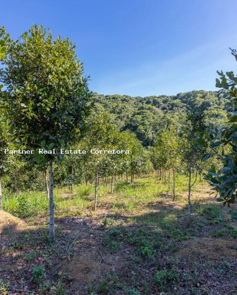 Fazenda, 1 quarto - Foto 2