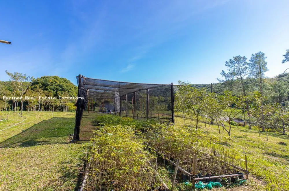 Fazenda, 1 quarto - Foto 16