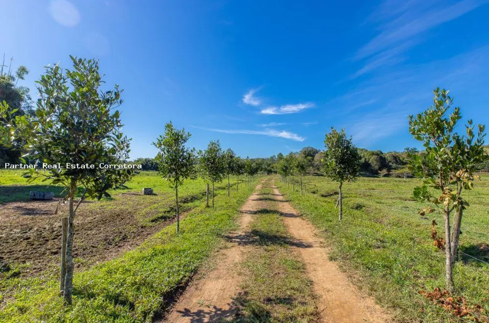 Fazenda, 1 quarto - Foto 4