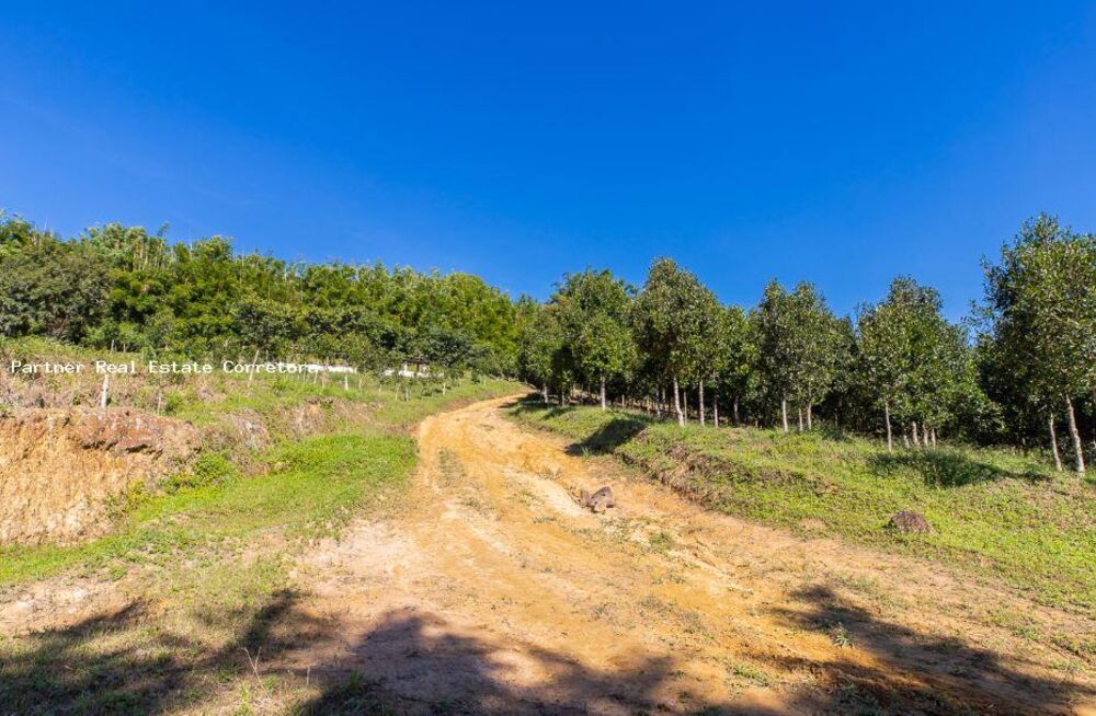 Fazenda, 1 quarto - Foto 4