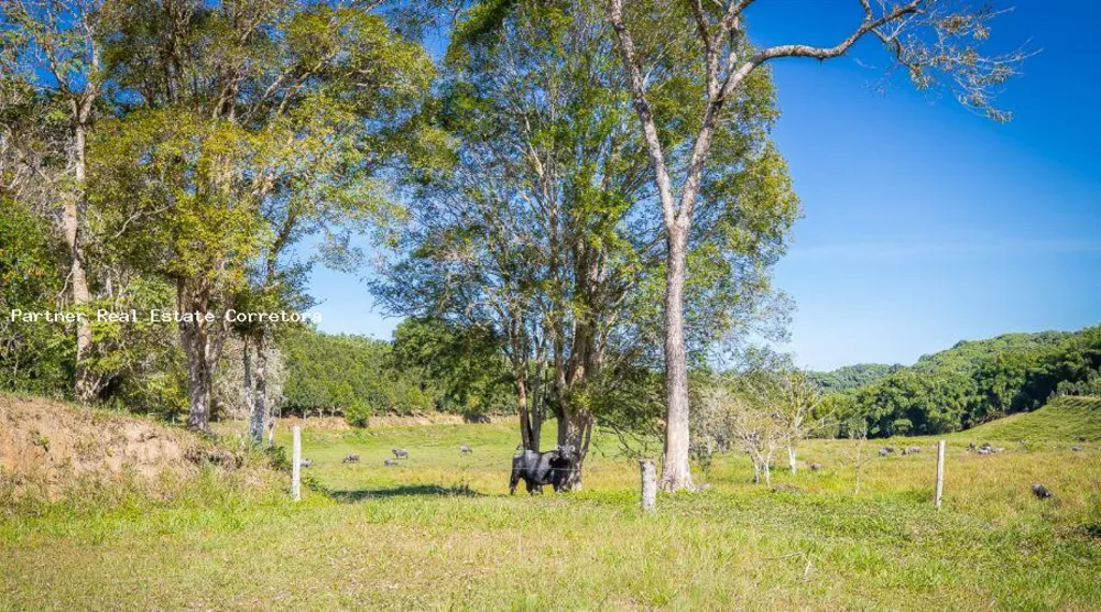 Fazenda, 1 quarto - Foto 10