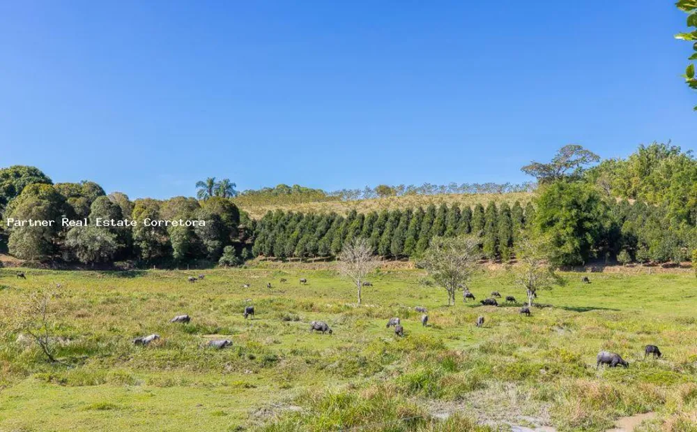 Fazenda, 1 quarto - Foto 11