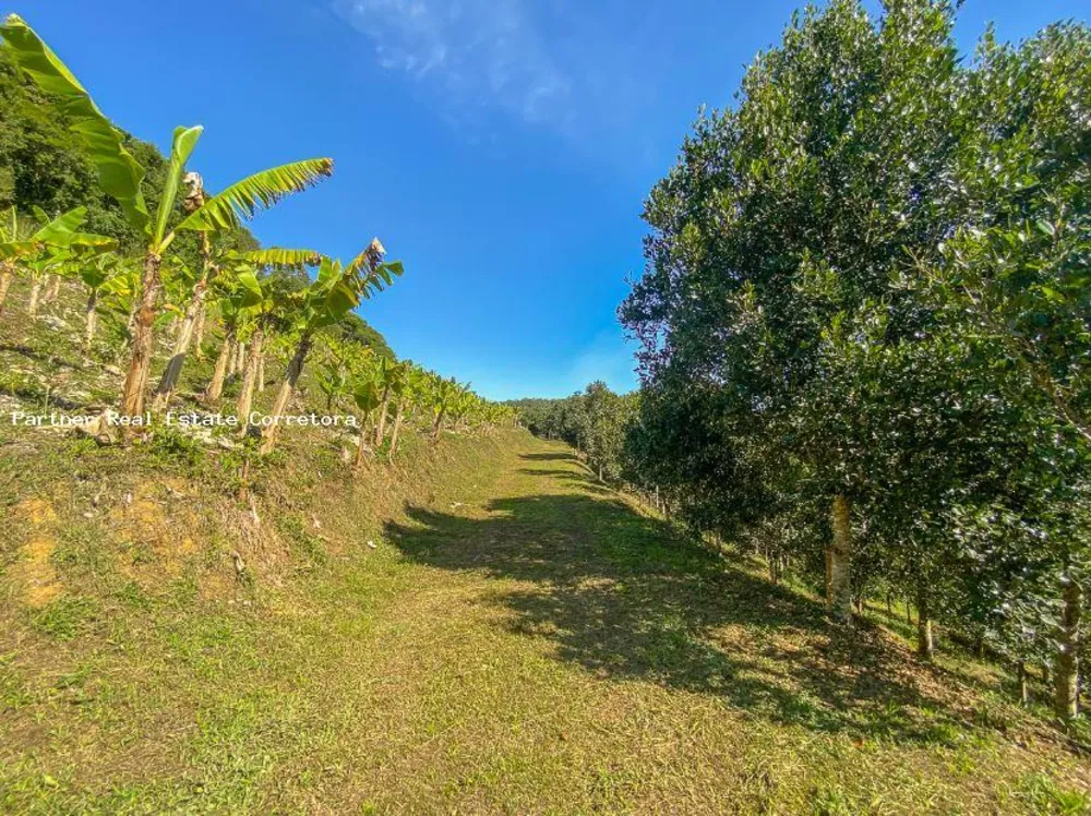 Fazenda, 1 quarto - Foto 6