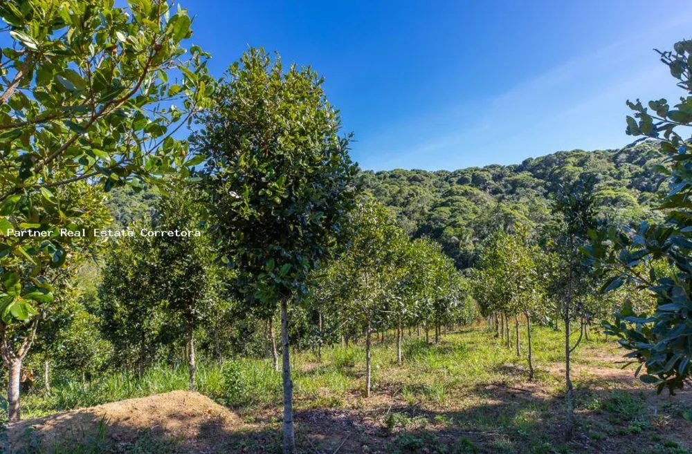 Fazenda, 1 quarto - Foto 3