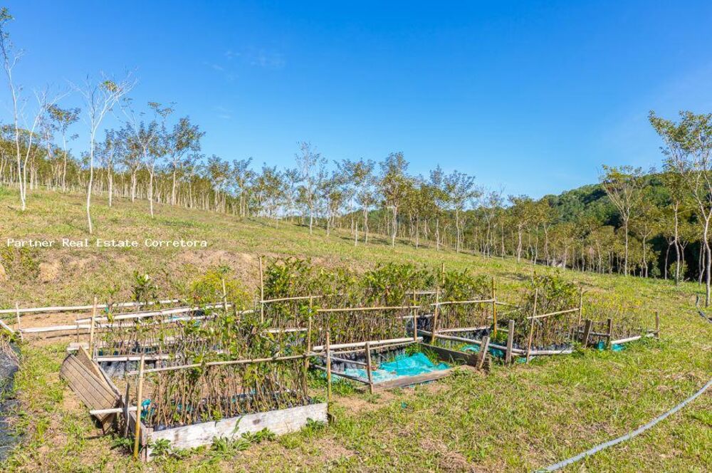 Fazenda, 1 quarto - Foto 6