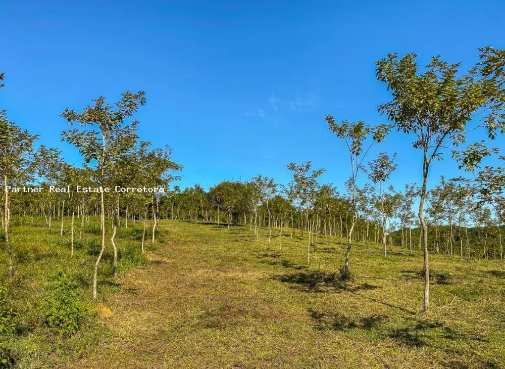 Fazenda, 1 quarto - Foto 13
