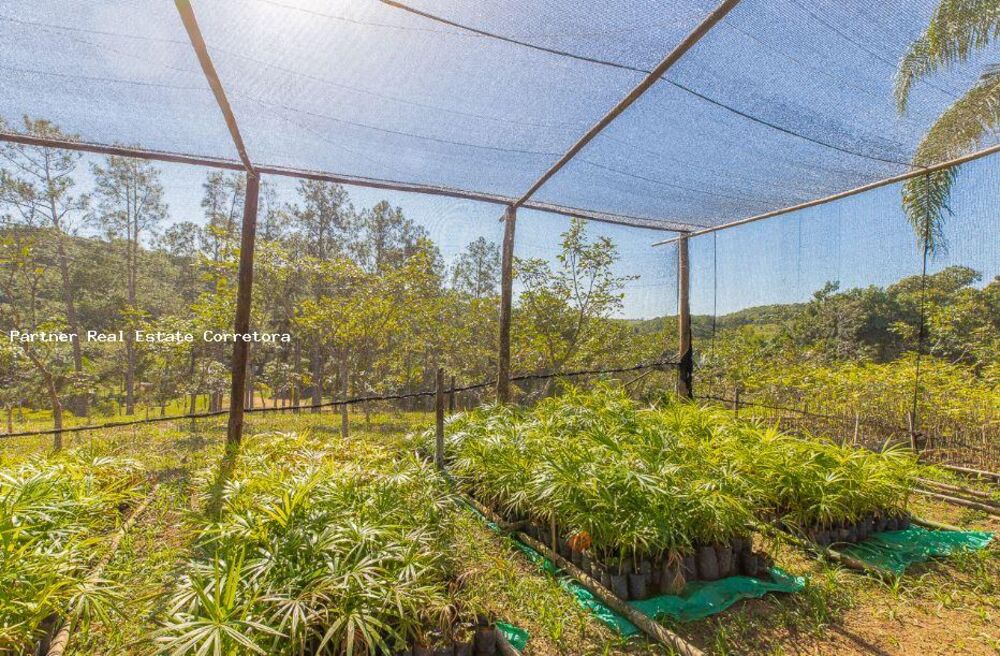 Fazenda, 1 quarto - Foto 7