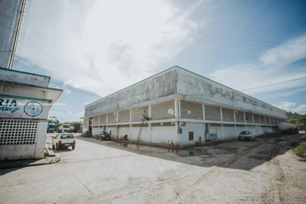 Depósito-Galpão, 31000 m² - Foto 3
