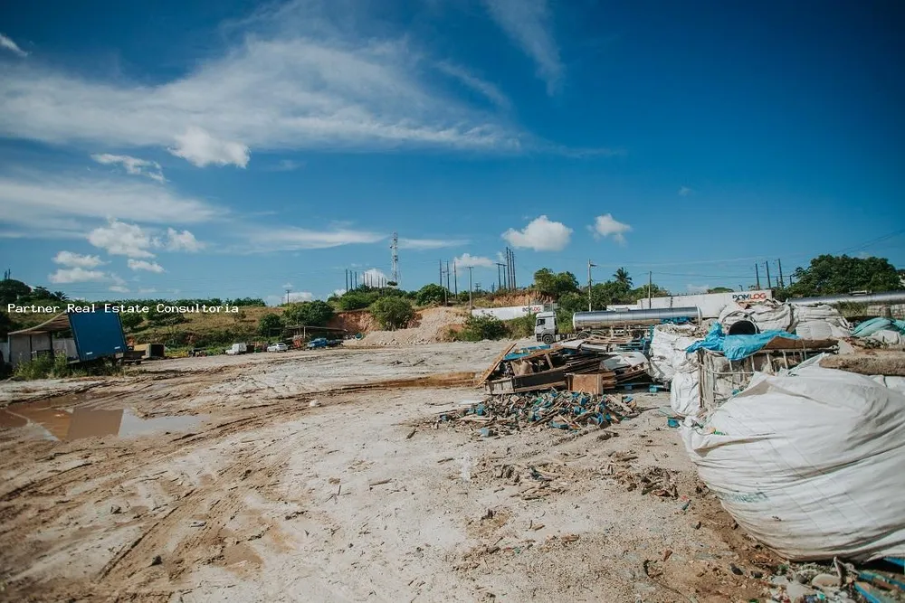 Depósito-Galpão, 31000 m² - Foto 6