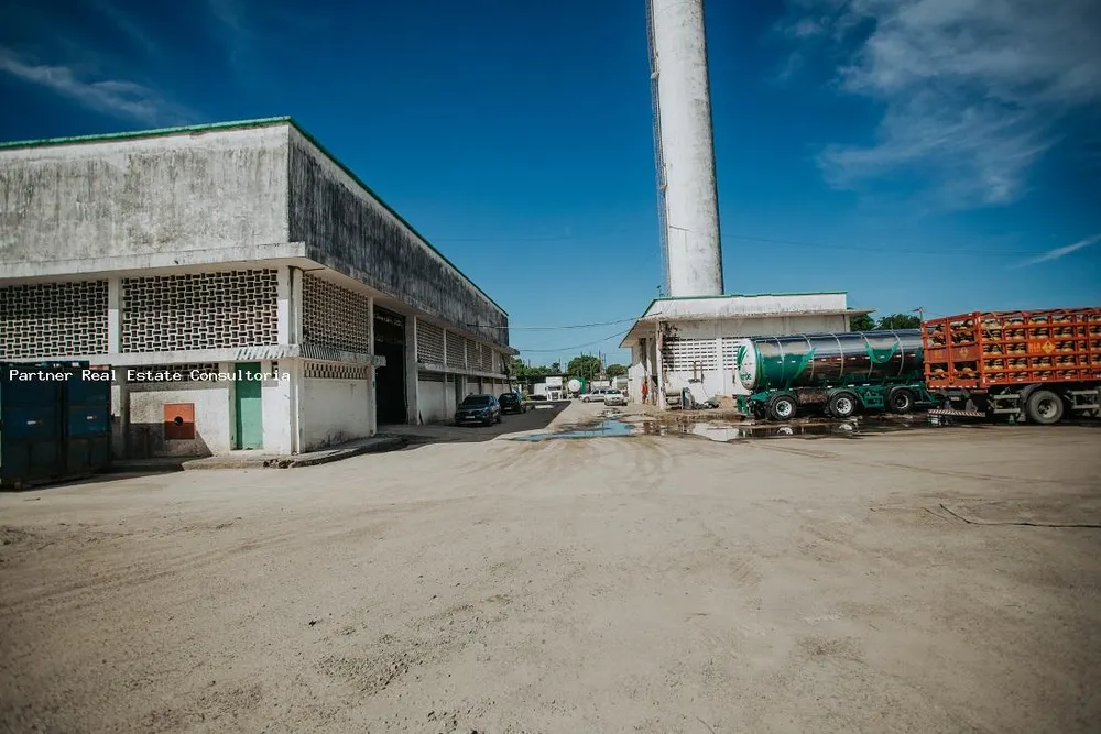 Depósito-Galpão, 31000 m² - Foto 4