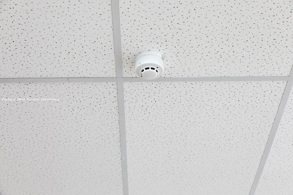 Prédio Inteiro, 4500 m² - Foto 5