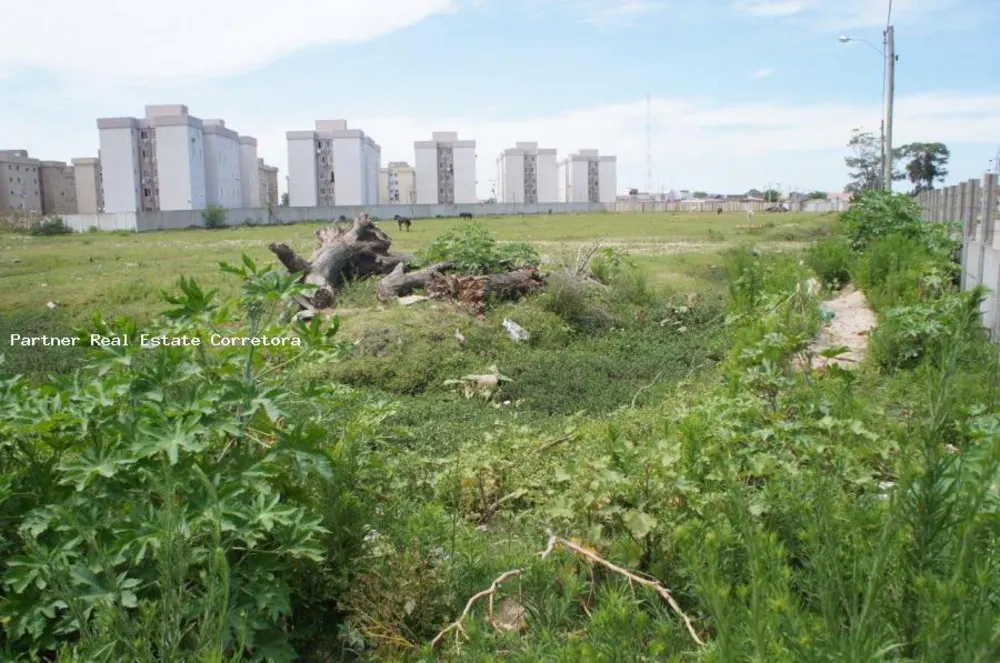 Terreno, 2 hectares - Foto 16