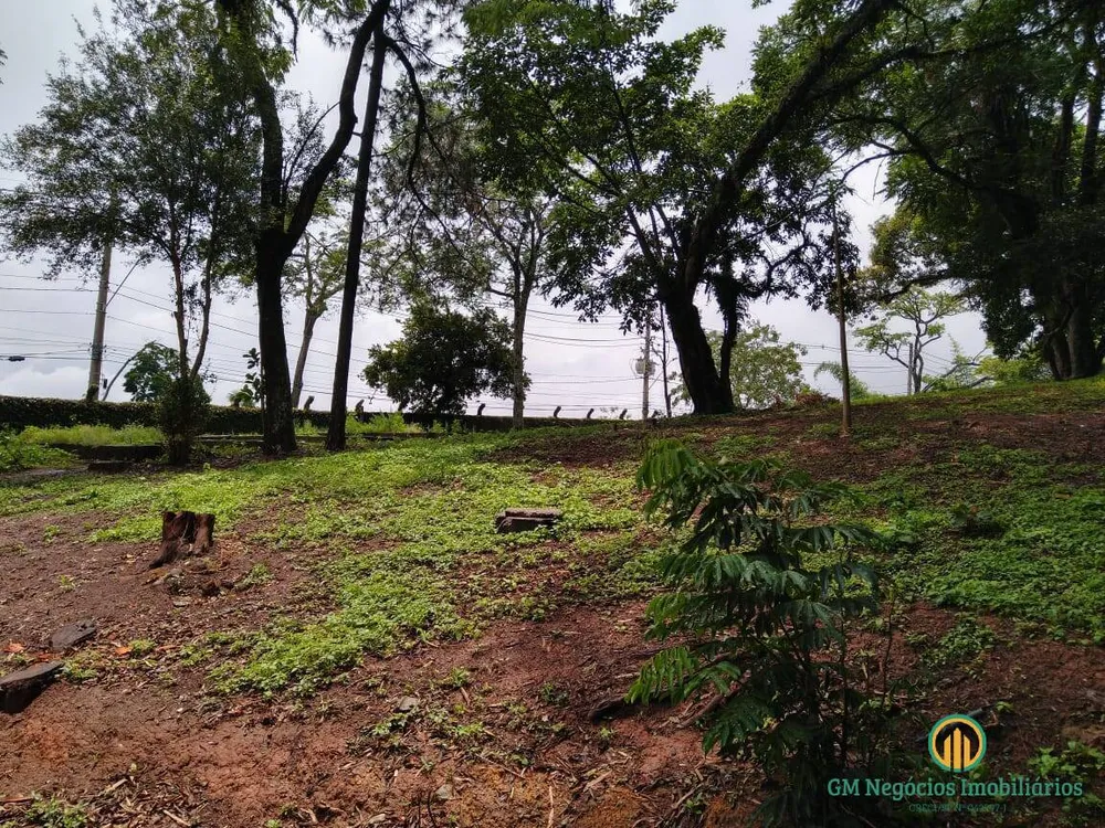 Terreno, 5000 m² - Foto 3