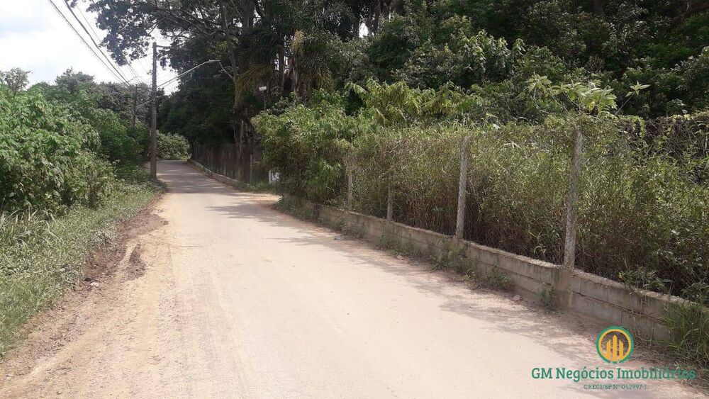 Terreno, 3 hectares - Foto 4